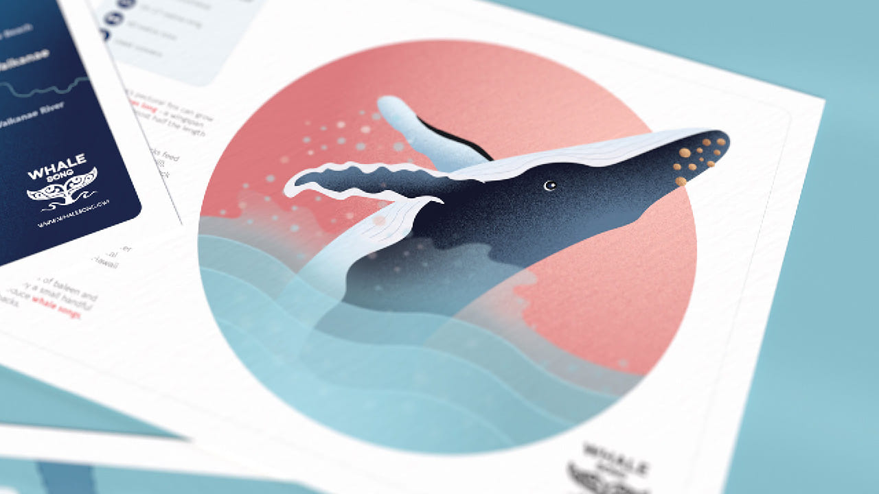 Whale Song activity sheets illustration of a humpback whale