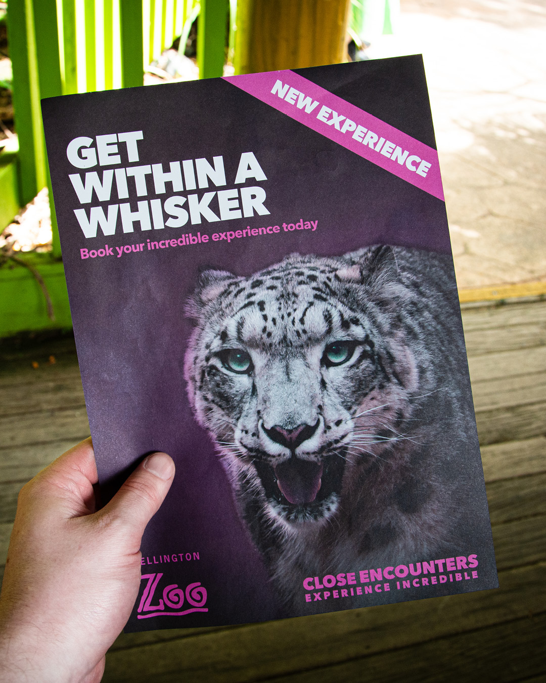 Te Nukuao Wellington Zoo