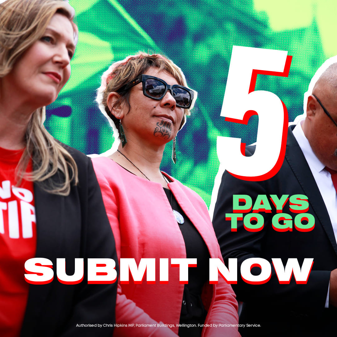 Social posts created during the historic Hīkoi mō te Tiriti against the Treaty Principles Bill in November 2024.