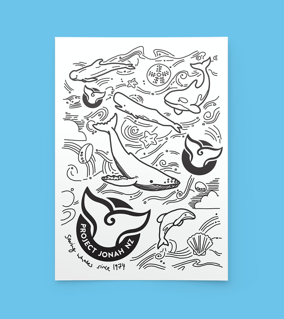 Project Jonah Towelie collaboration with StokedNZ