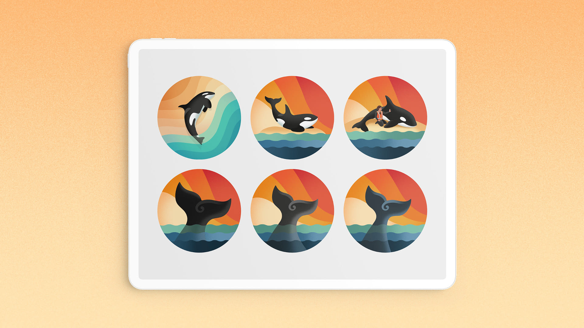 Project Jonah's 50th anniversary design sketches