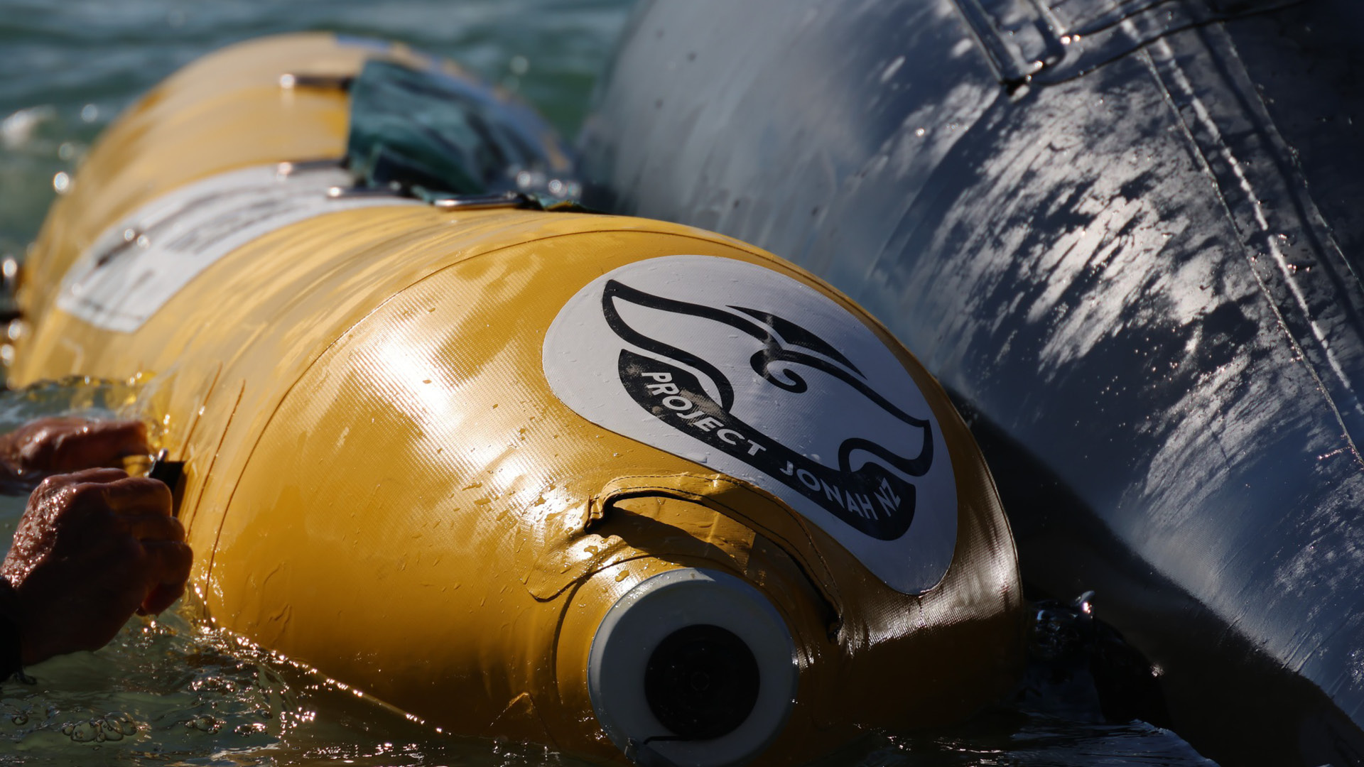 Project Jonah's new logo on whale rescue gear