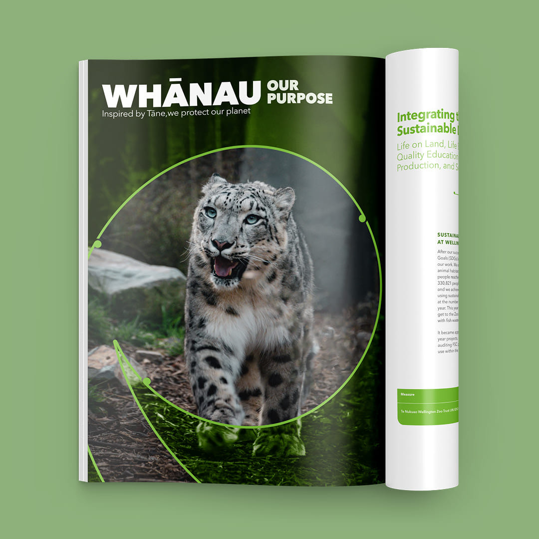 Wellington Zoo's 2024 annual report, including photography of Manju the snow leopard by Bradley Pratt