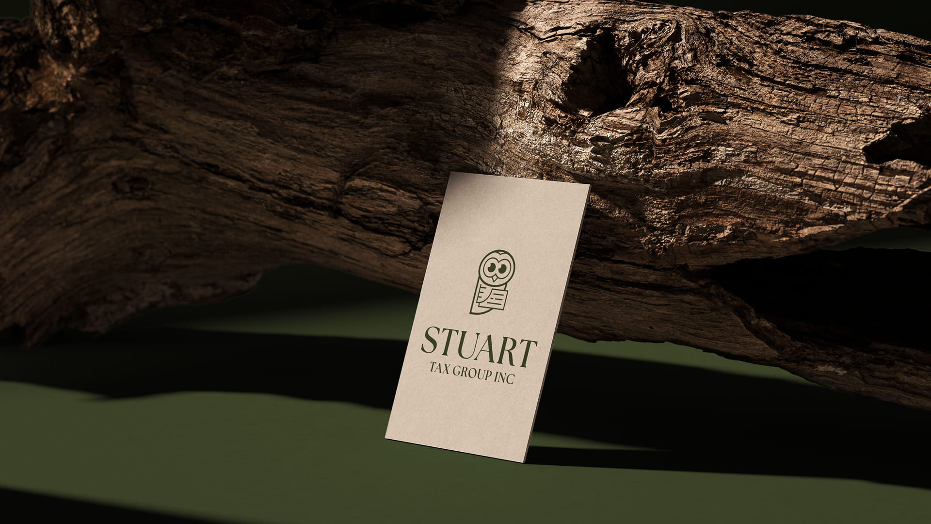 Stuart Tax Group Inc owl logo mockup on a card on a tree branch