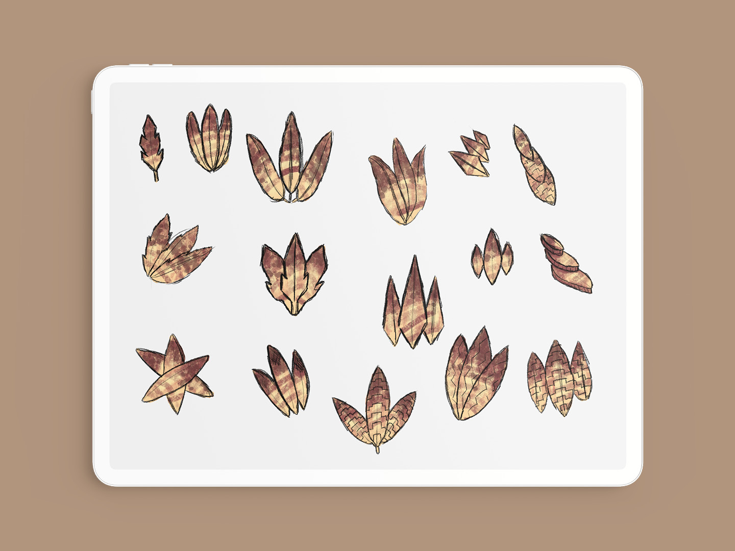 My first series of illustrations focused on the tohu being shaped as a kāhu feather, representing the story of it having been scorched by the fire of Mahuika