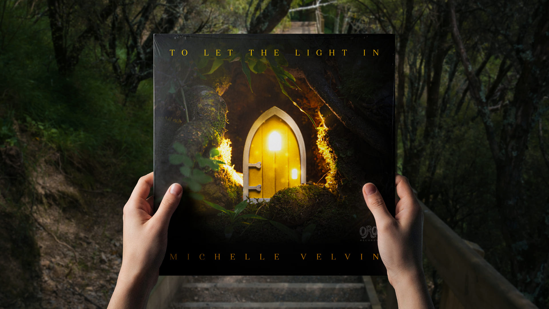 Michelle Velvin: 'To Let the Light In'
