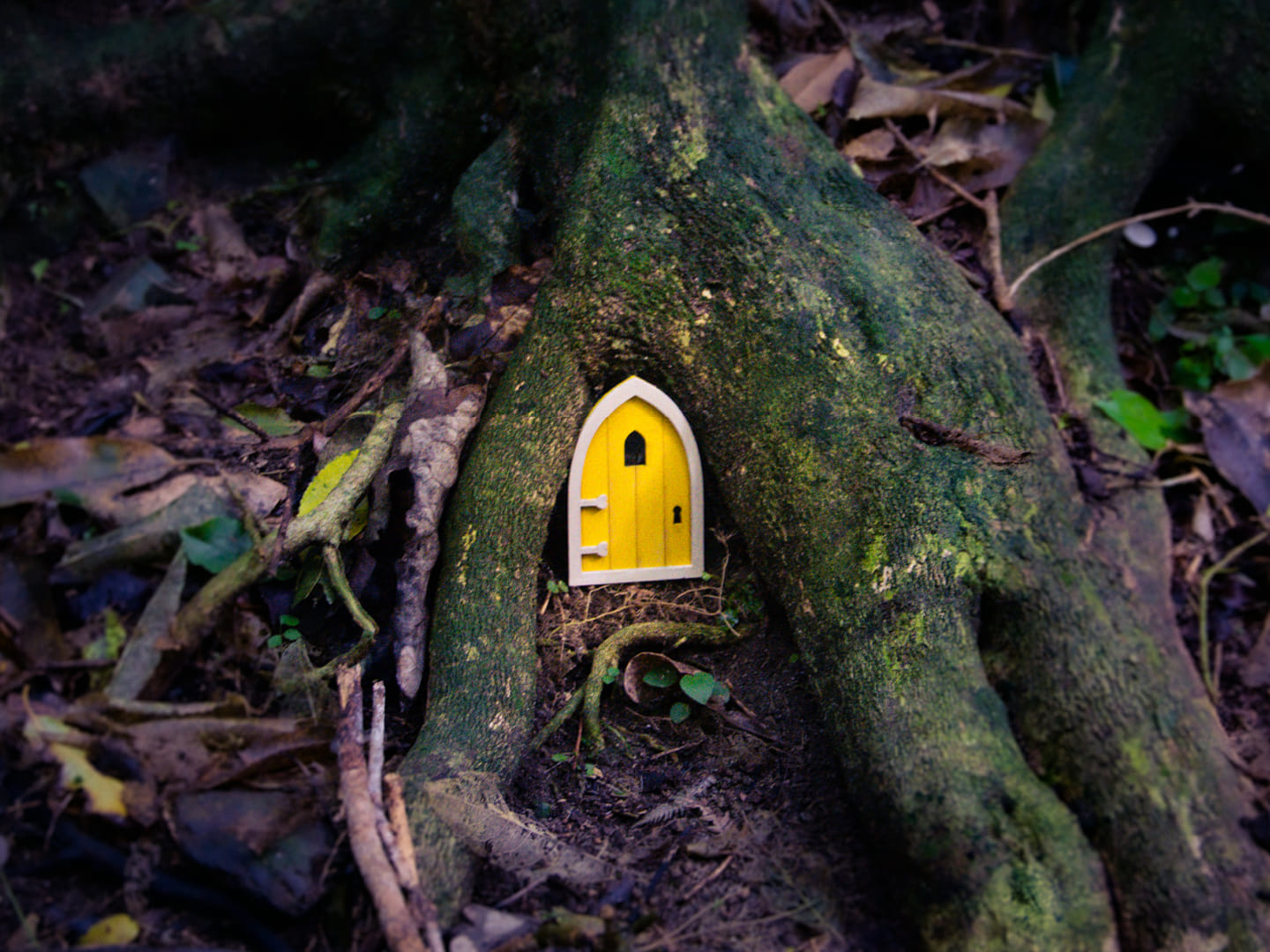 Final photography for Michelle Velvin: "To Let the Light In"