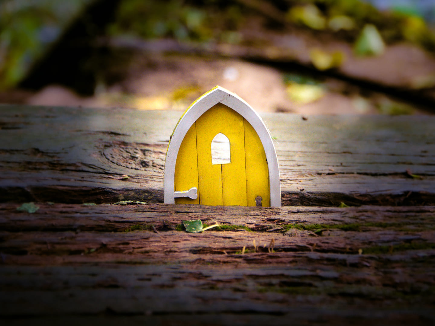 Final photography for Michelle Velvin: "To Let the Light In"