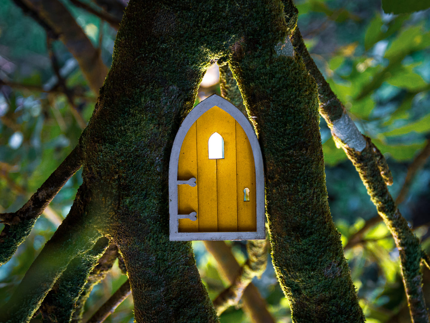 Final photography for Michelle Velvin: "To Let the Light In"