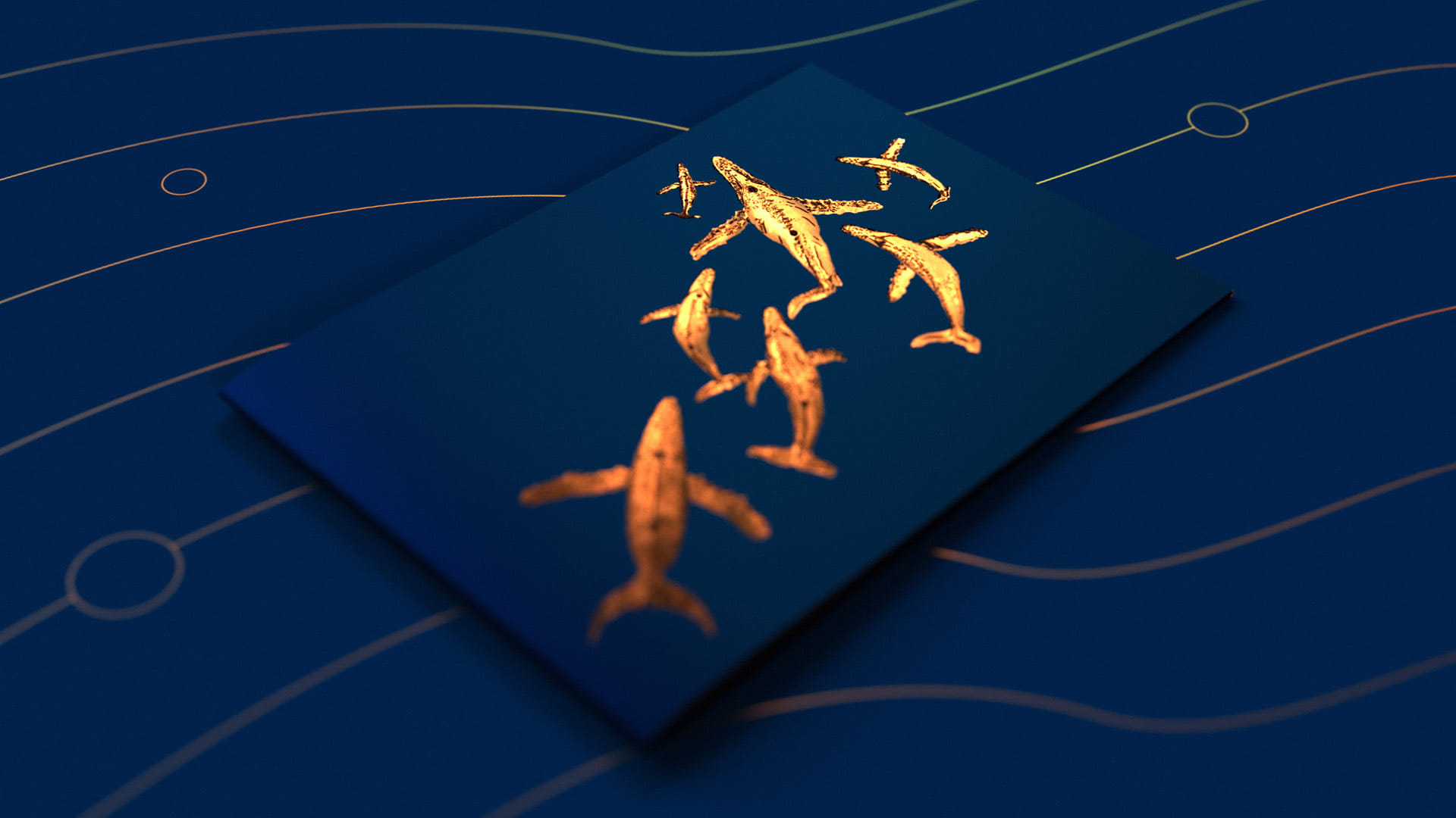 The front cover of the Whale Song Prospectus printed book, including seven bronze humpback whales on a minimalist navy background.