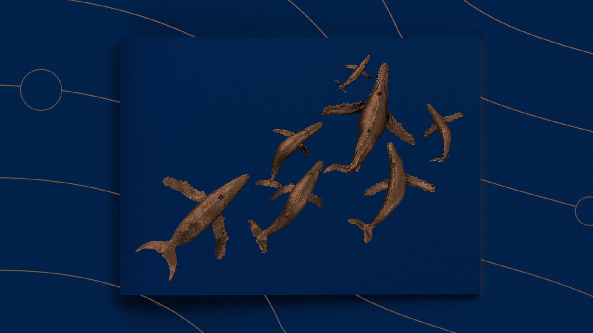 The front cover of the Whale Song Prospectus printed book, including seven bronze humpback whales on a minimalist navy background.