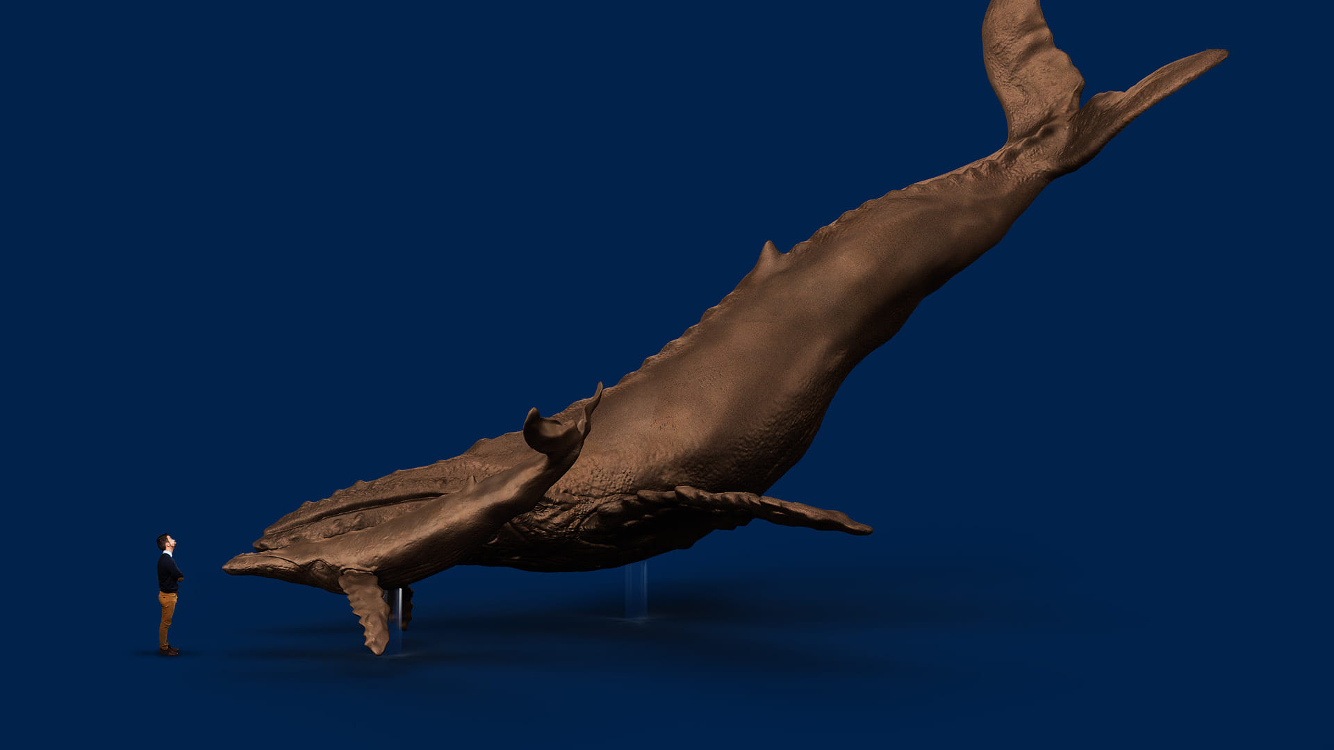 A 3D render of one of the bronze whales by Mike Fuller, rendered by Bradley Pratt, with a stand-in figure to show scale