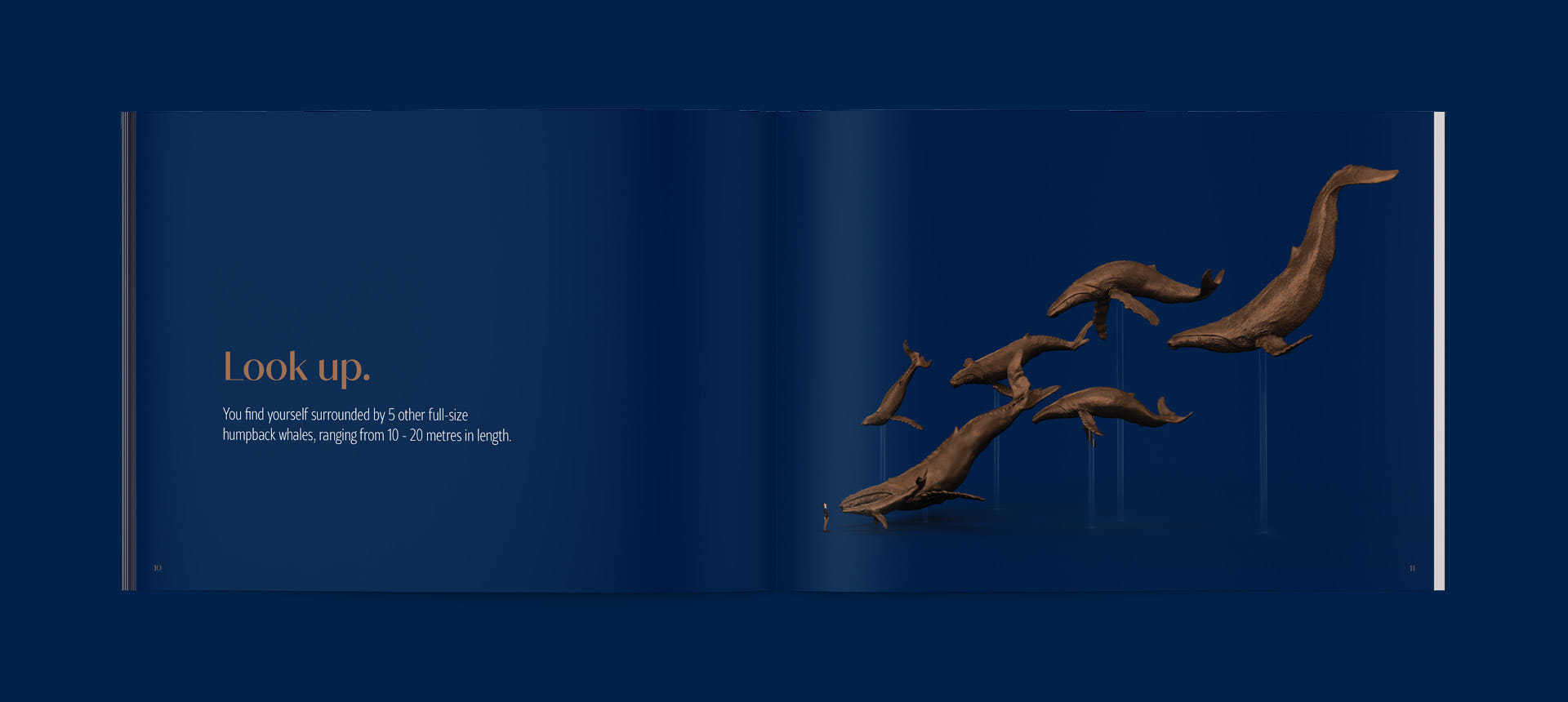 A spread from the Whale Song Prospectus book, with bronze humpback whales on a minimalist navy background with a small person included for scale