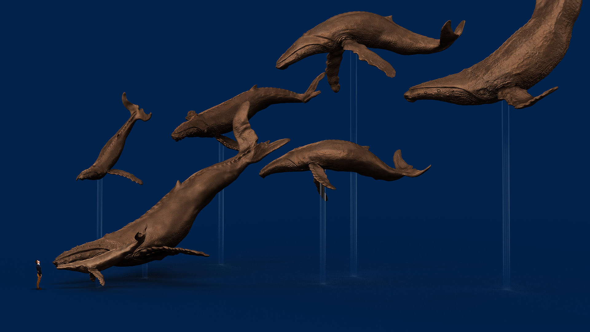 A 3D render of all seven of the bronze whales by Mike Fuller, rendered by Bradley Pratt, with a stand-in figure to show scale