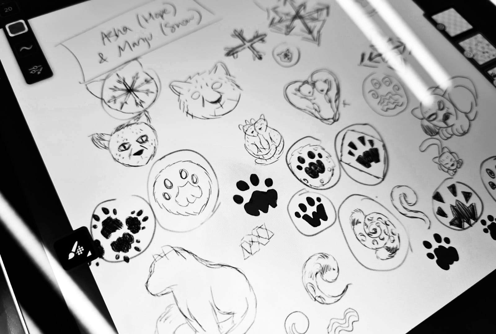 8 sketches and drawings for potential snow leopard pins for Wellington Zoo, displayed on an iPad, focused on heart shaped snow leopards
