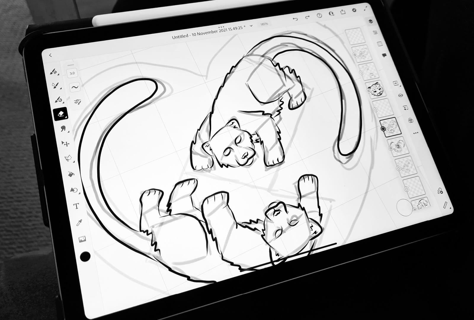 A final illustration of a heart-shaped pair of snow leopards for Wellington Zoo, displayed on an iPad
