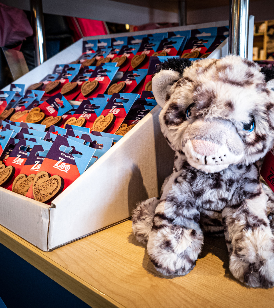 The snow leopard pins for Wellington Zoo, photographed on sale at the zoo shop, designed by Bradley Pratt